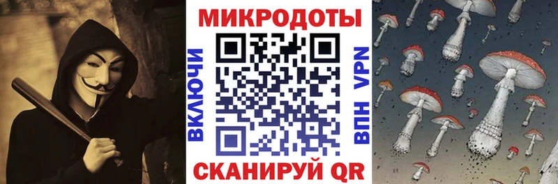 Псилоцибиновые грибы Psilocybe  Купить закладки  Элиста 